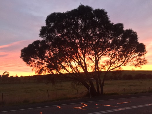Hearts Across Australia Week 09 photo from 21 Jul 2015.