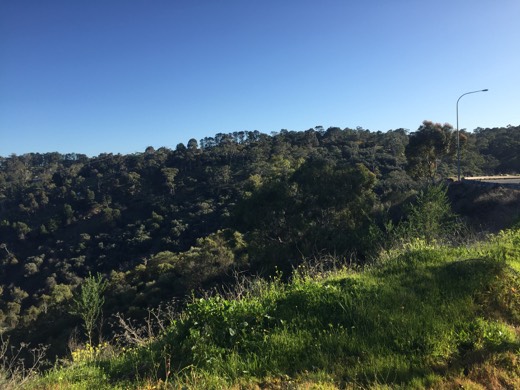 Hearts Across Australia Week 09 photo from 20 Jul 2015.