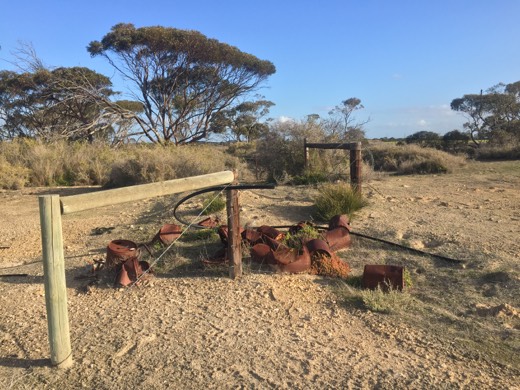 Hearts Across Australia Week 09 photo from 22 Jul 2015.