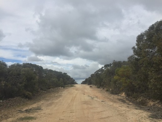 Hearts Across Australia Week 10 photo from 24 Jul 2015.