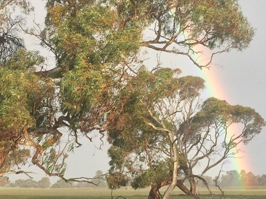 Hearts Across Australia Week 10 photo from 24 Jul 2015.