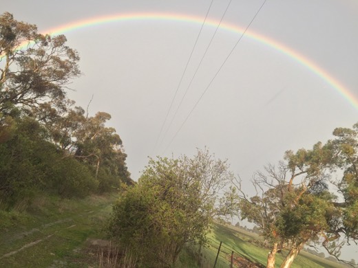 Rainbow over trees and fields after a shower on Day 70
