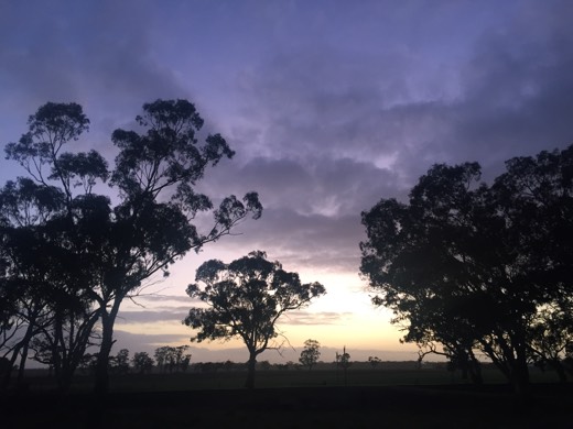 Hearts Across Australia Week 11 photo from 25 Jul 2015.