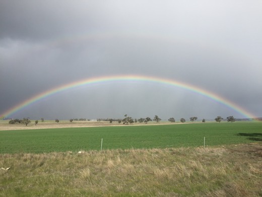 A rainbow across green fields during Day 72 near Nhill