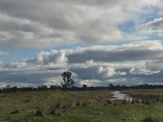 Hearts Across Australia Week 11 photo from 28 Jul 2015.