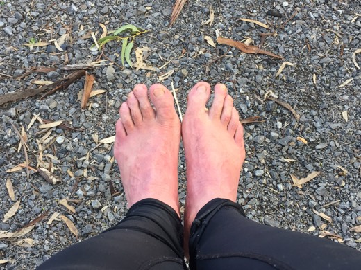 Hearts Across Australia Week 11 photo from 28 Jul 2015.