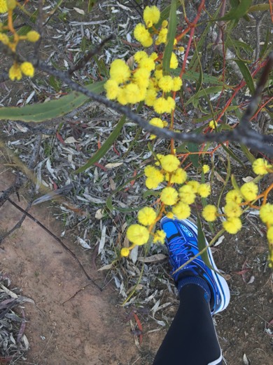 Hearts Across Australia Week 11 photo from 28 Jul 2015.