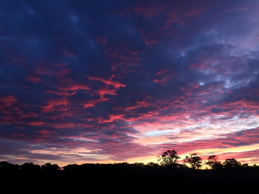 A vivid red and purple sunrise over trees outside Ararat on Day 76