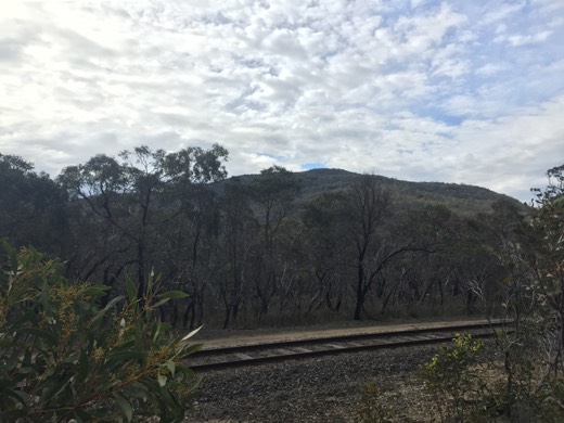 Hearts Across Australia Week 11 photo from 30 Jul 2015.