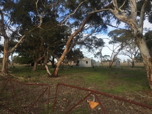 Hearts Across Australia Week 10 photo from 24 Jul 2015.