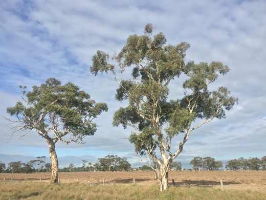 Hearts Across Australia Week 10 photo from 24 Jul 2015.