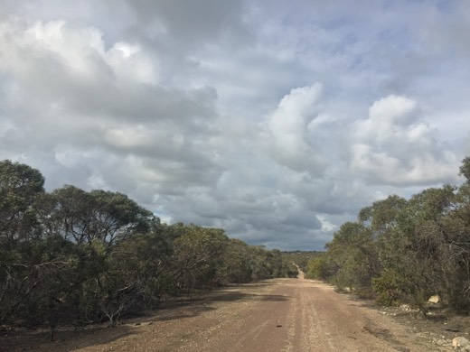 Hearts Across Australia Week 10 photo from 24 Jul 2015.