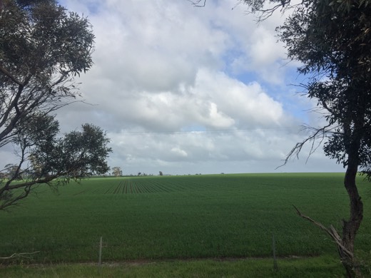 Hearts Across Australia Week 11 photo from 25 Jul 2015.