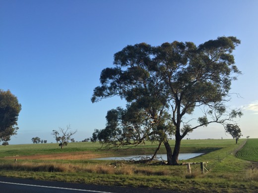 Hearts Across Australia Week 11 photo from 26 Jul 2015.