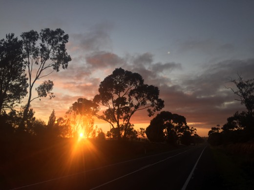 Hearts Across Australia Week 11 photo from 27 Jul 2015.