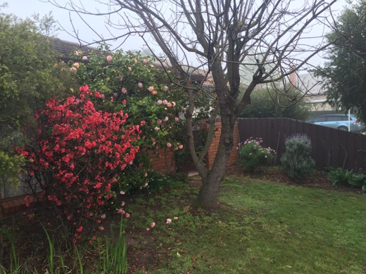 Hearts Across Australia Week 11 photo from 28 Jul 2015.