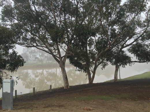 Hearts Across Australia Week 11 photo from 28 Jul 2015.