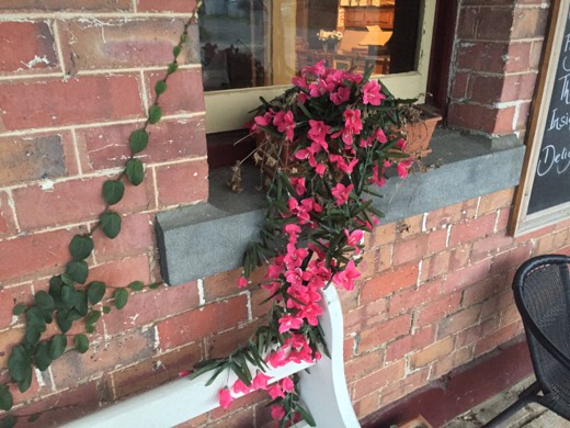 Hearts Across Australia Week 11 photo from 29 Jul 2015.