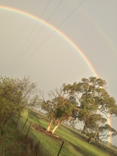 Hearts Across Australia Week 10 photo from 24 Jul 2015.