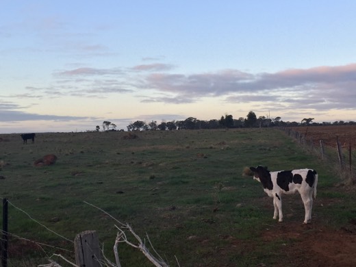 Hearts Across Australia Week 11 photo from 4 Aug 2015.