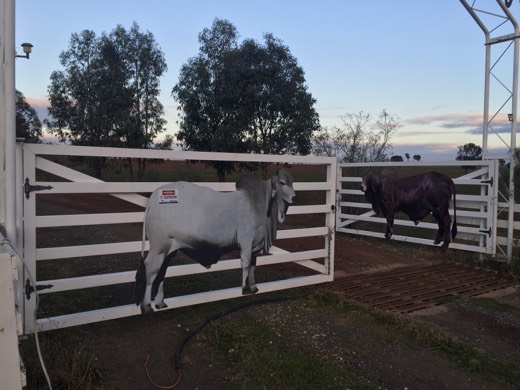 Hearts Across Australia Week 11 photo from 4 Aug 2015.