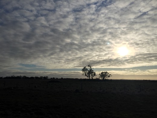 Hearts Across Australia Week 11 photo from 4 Aug 2015.