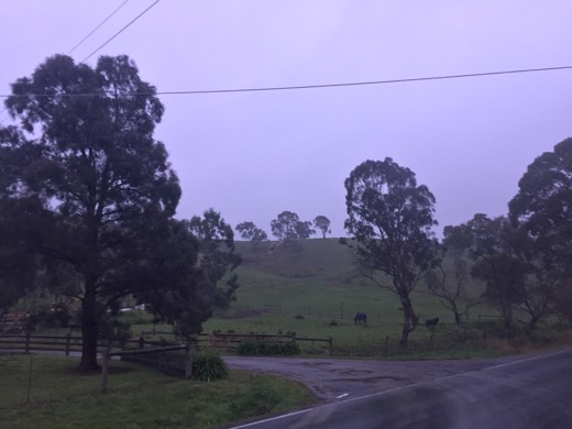 Hearts Across Australia Week 11 photo from 6 Aug 2015.