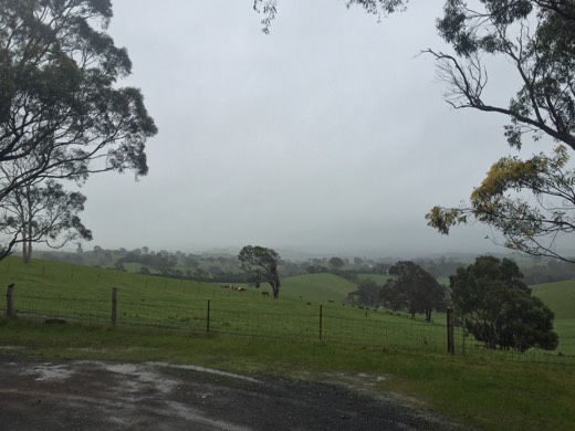 Hearts Across Australia Week 11 photo from 6 Aug 2015.