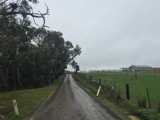 Hearts Across Australia Week 11 photo from 6 Aug 2015.