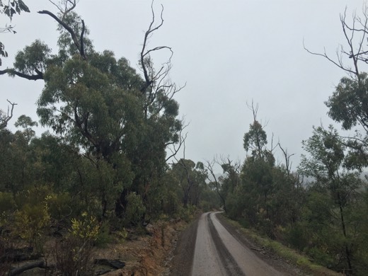 Hearts Across Australia Week 11 photo from 6 Aug 2015.