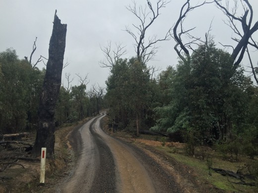 Hearts Across Australia Week 11 photo from 6 Aug 2015.