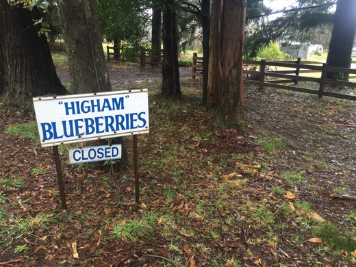 Hearts Across Australia Week 11 photo from 6 Aug 2015.