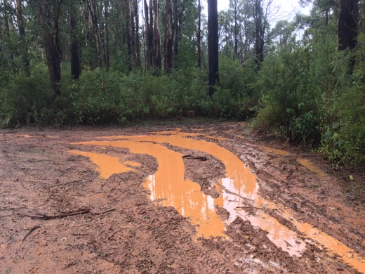 Hearts Across Australia Week 11 photo from 6 Aug 2015.