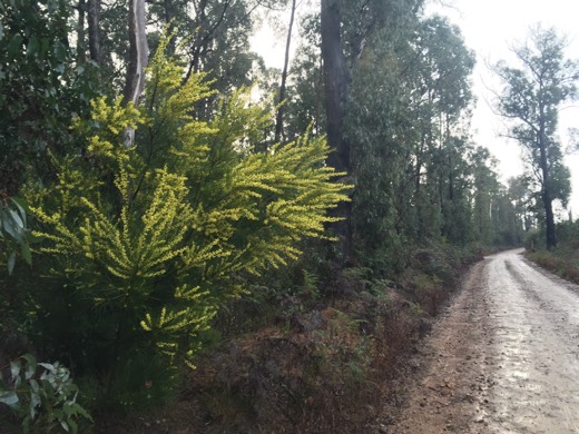 Day 83 photo from 6 Aug 2015 during Hearts Across Australia.