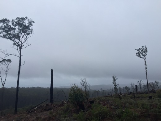 Hearts Across Australia Week 11 photo from 6 Aug 2015.