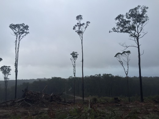 Hearts Across Australia Week 11 photo from 6 Aug 2015.
