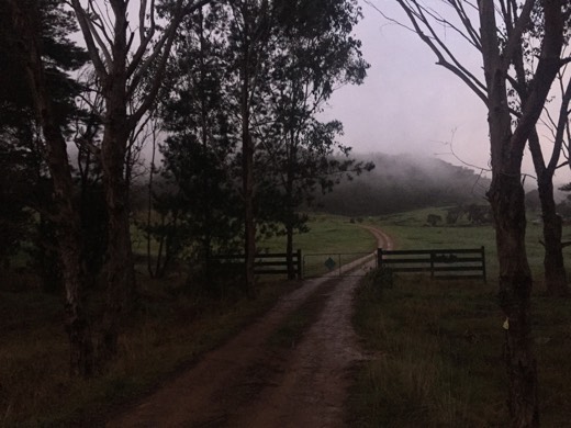 Hearts Across Australia Week 11 photo from 7 Aug 2015.