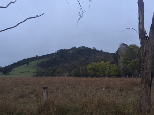 Hearts Across Australia Week 11 photo from 7 Aug 2015.