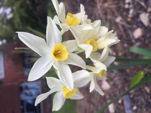 Hearts Across Australia Week 11 photo from 5 Aug 2015.