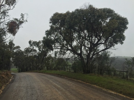 Hearts Across Australia Week 11 photo from 6 Aug 2015.