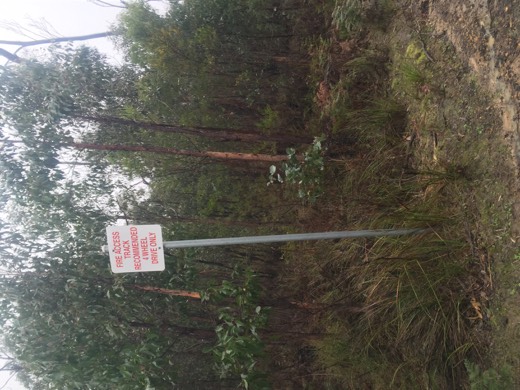 Hearts Across Australia Week 11 photo from 6 Aug 2015.