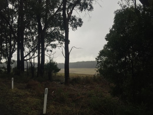 Hearts Across Australia Week 11 photo from 6 Aug 2015.