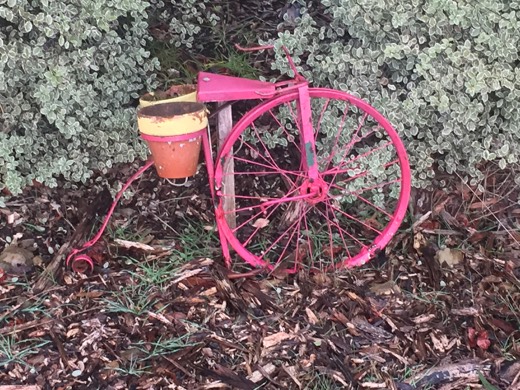 Hearts Across Australia Week 11 photo from 7 Aug 2015.