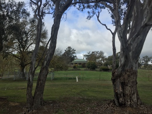 Hearts Across Australia Week 11 photo from 7 Aug 2015.