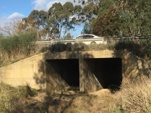 Hearts Across Australia Week 12 photo from 8 Aug 2015.