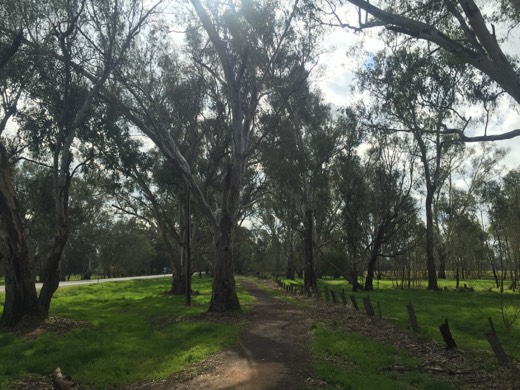 Hearts Across Australia Week 12 photo from 9 Aug 2015.