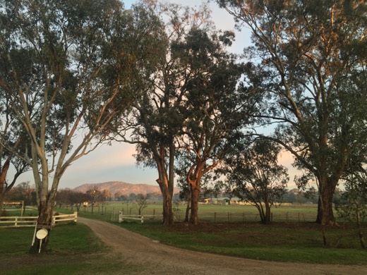 Hearts Across Australia Week 12 photo from 10 Aug 2015.