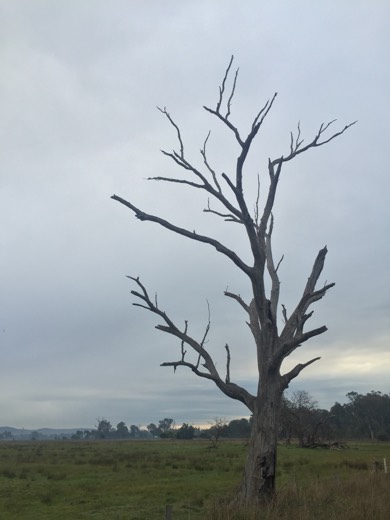Hearts Across Australia Week 12 photo from 10 Aug 2015.