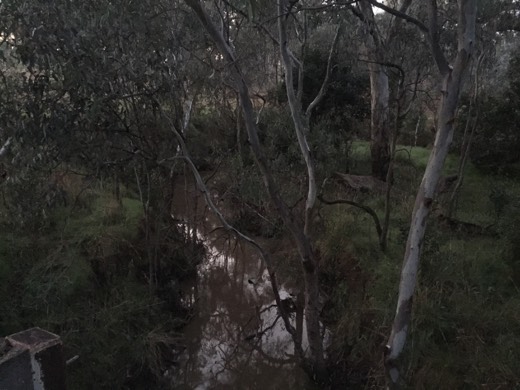 Hearts Across Australia Week 13 photo from 11 Aug 2015.