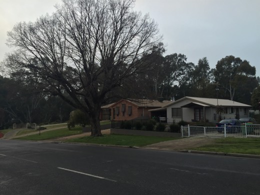 Hearts Across Australia Week 13 photo from 11 Aug 2015.
